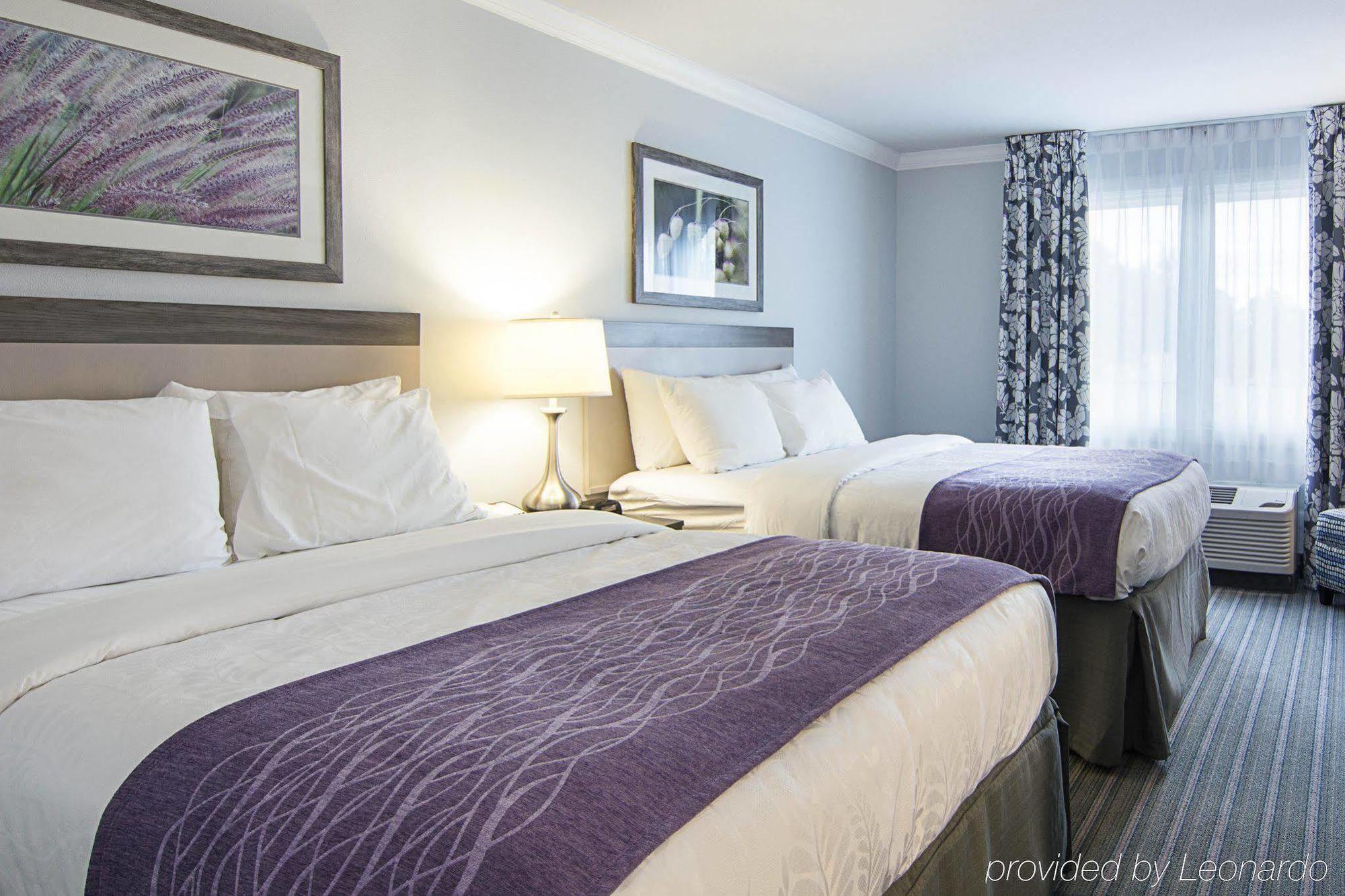 Comfort Inn Williamsburg Gateway Εξωτερικό φωτογραφία